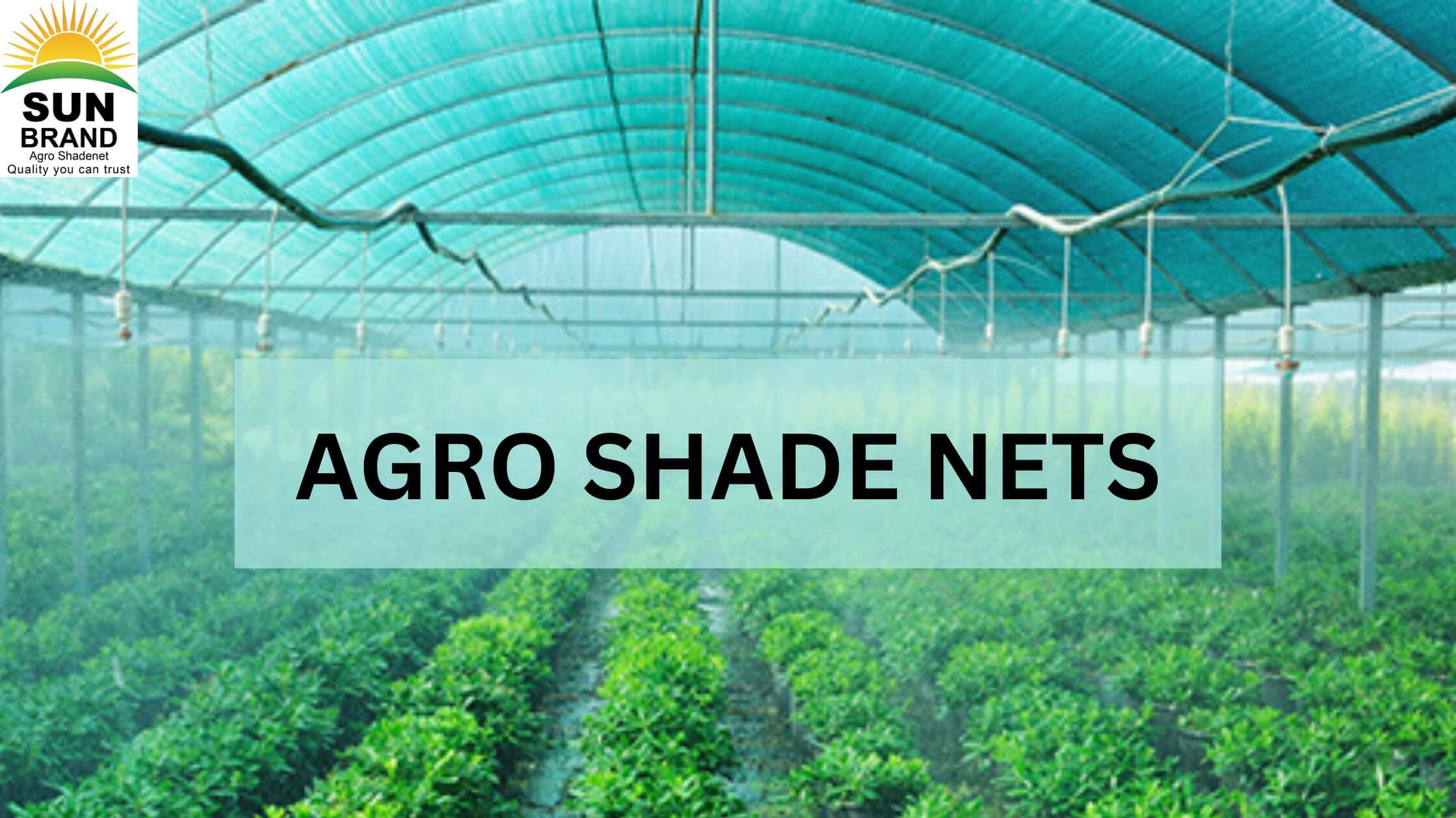 Agro Shade Nets, Sun Brand Agro Shade Net